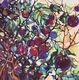 Berry Bonanza