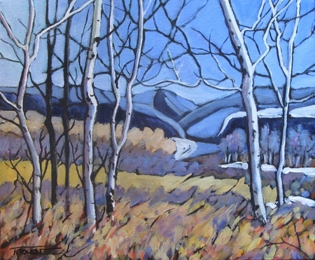Peace River Spring II