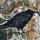 Raven Song